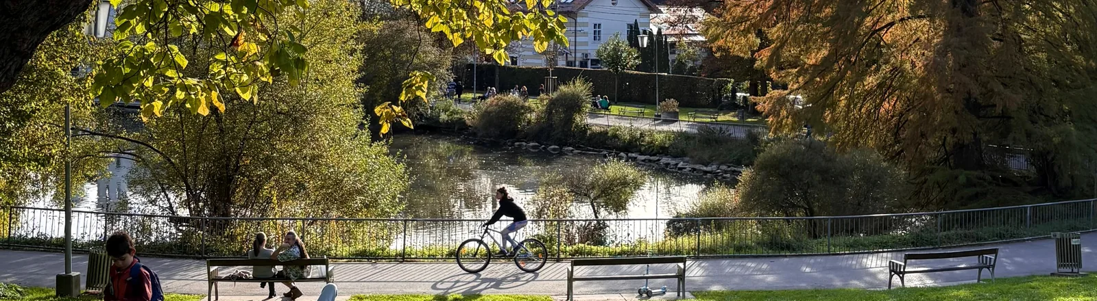 Sonniger Stadtpark in Graz mit großer Wiese, Bäumen, Weg und Wohnhäusern im Hintergrund